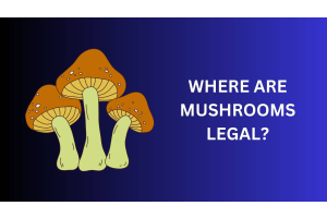 Where Are Mushrooms Legal
