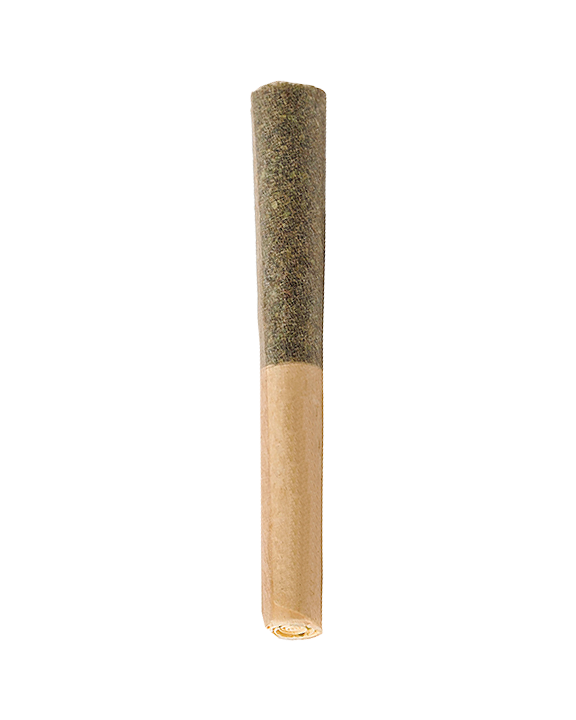 THCa Pre Roll Joints - Infused - 0.5g ea - 5ct - Exotic Strains | Apotheca.org BEST THC ONLINE, FREE SHIPPING!*
