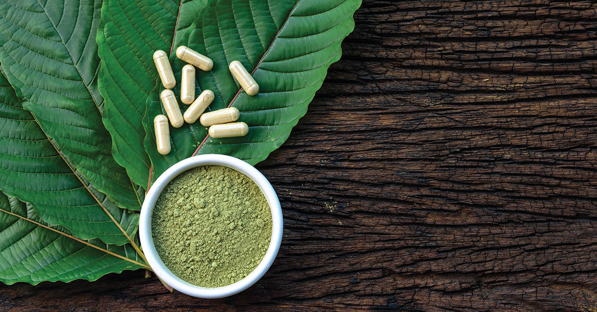 Things To Know Before Trying Kratom