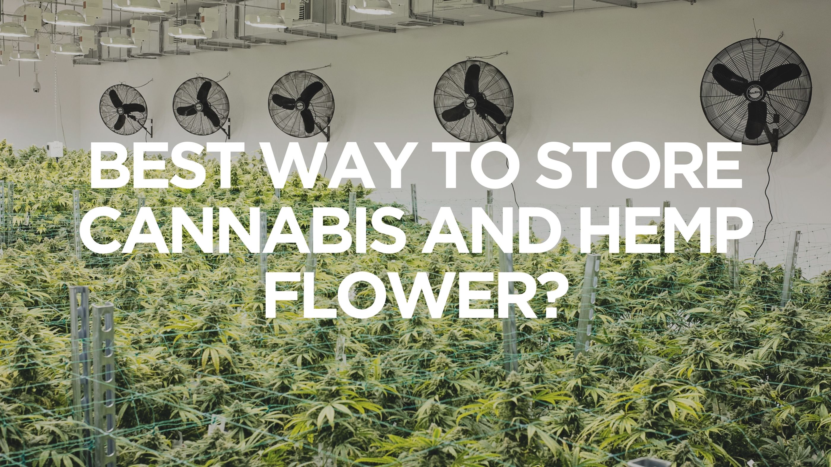 best-way-to-store-cannabis-and hemp-flower
