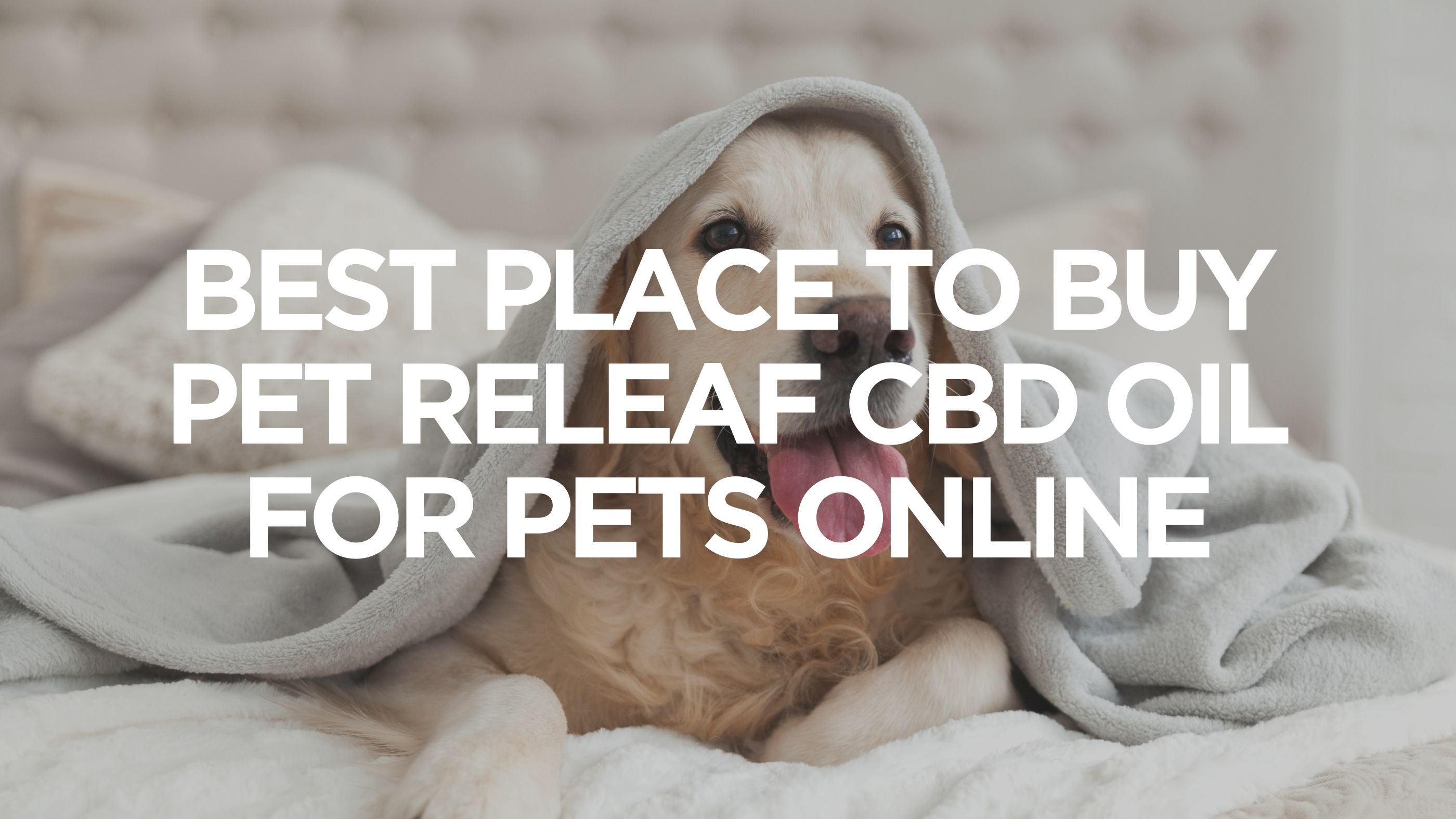 best-place-to-buy-pet-releaf-cbd-oil-for-pets-online