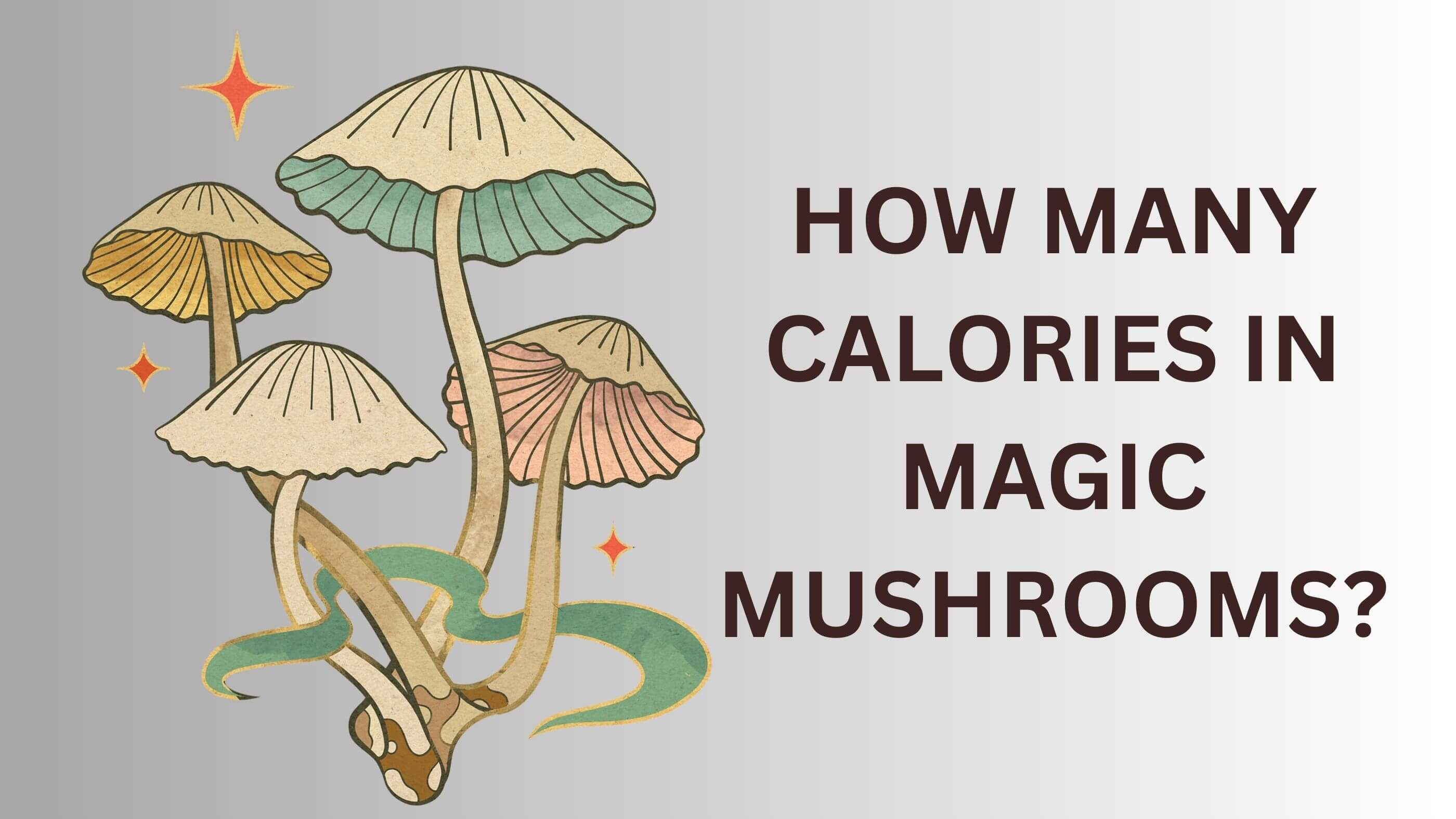calories in magic mushrooms