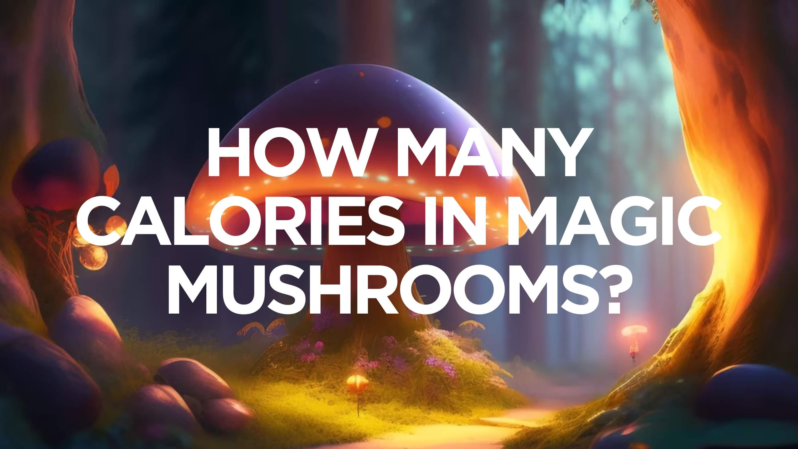 calories in magic mushrooms