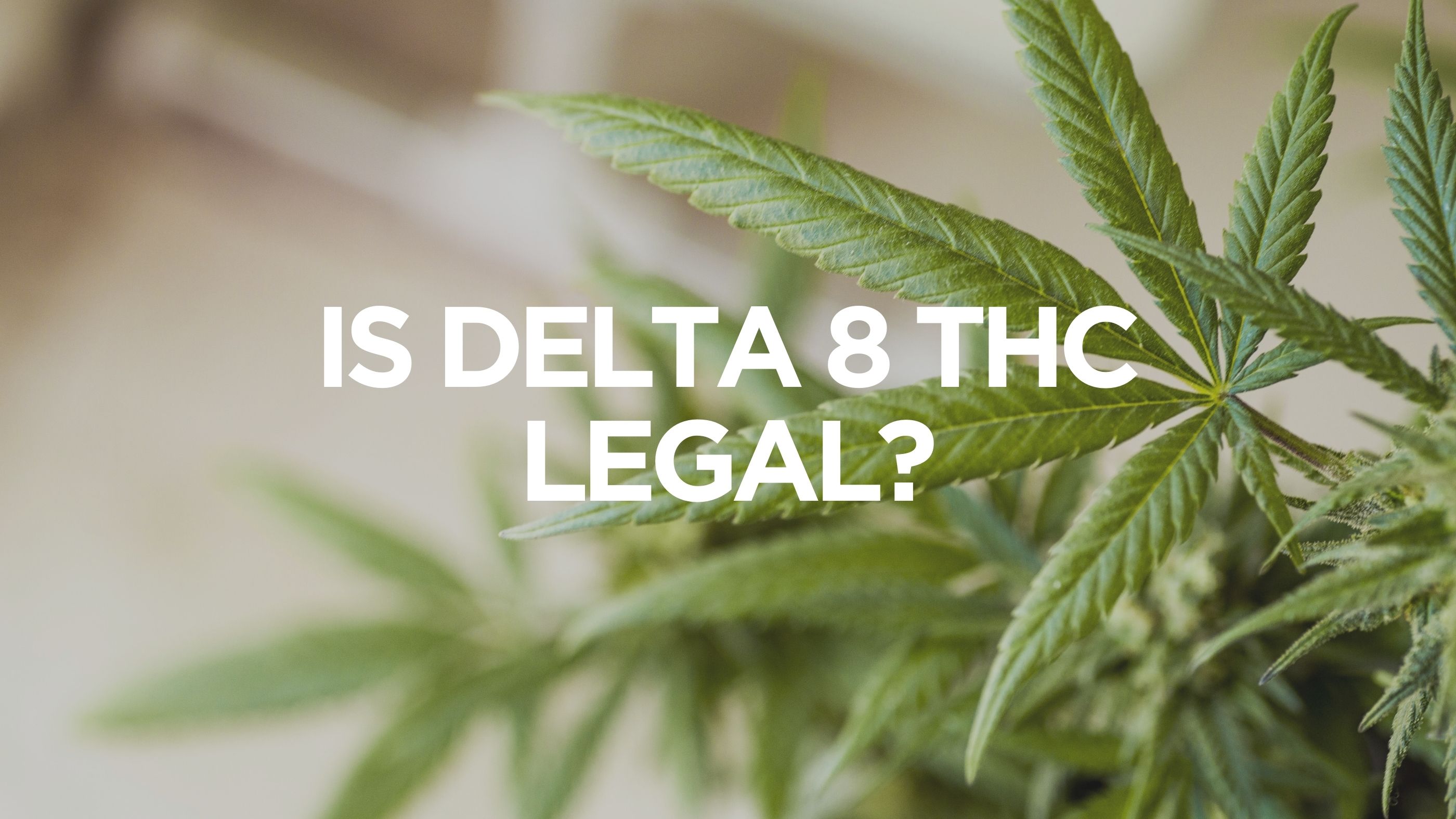 is-delta-8-thc-legal