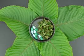 Kratom: How Safe Is This Compound?