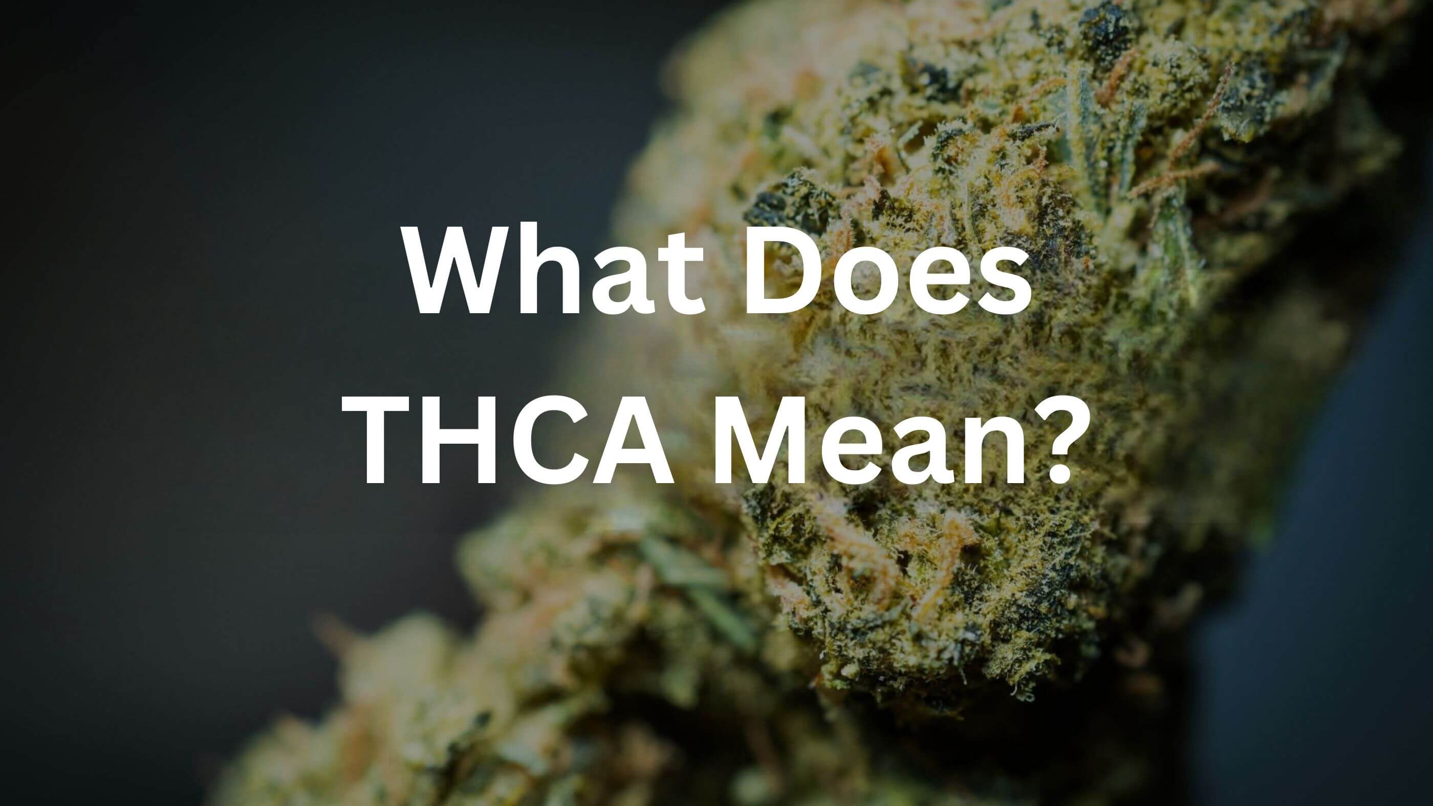 What Does THCA Mean?