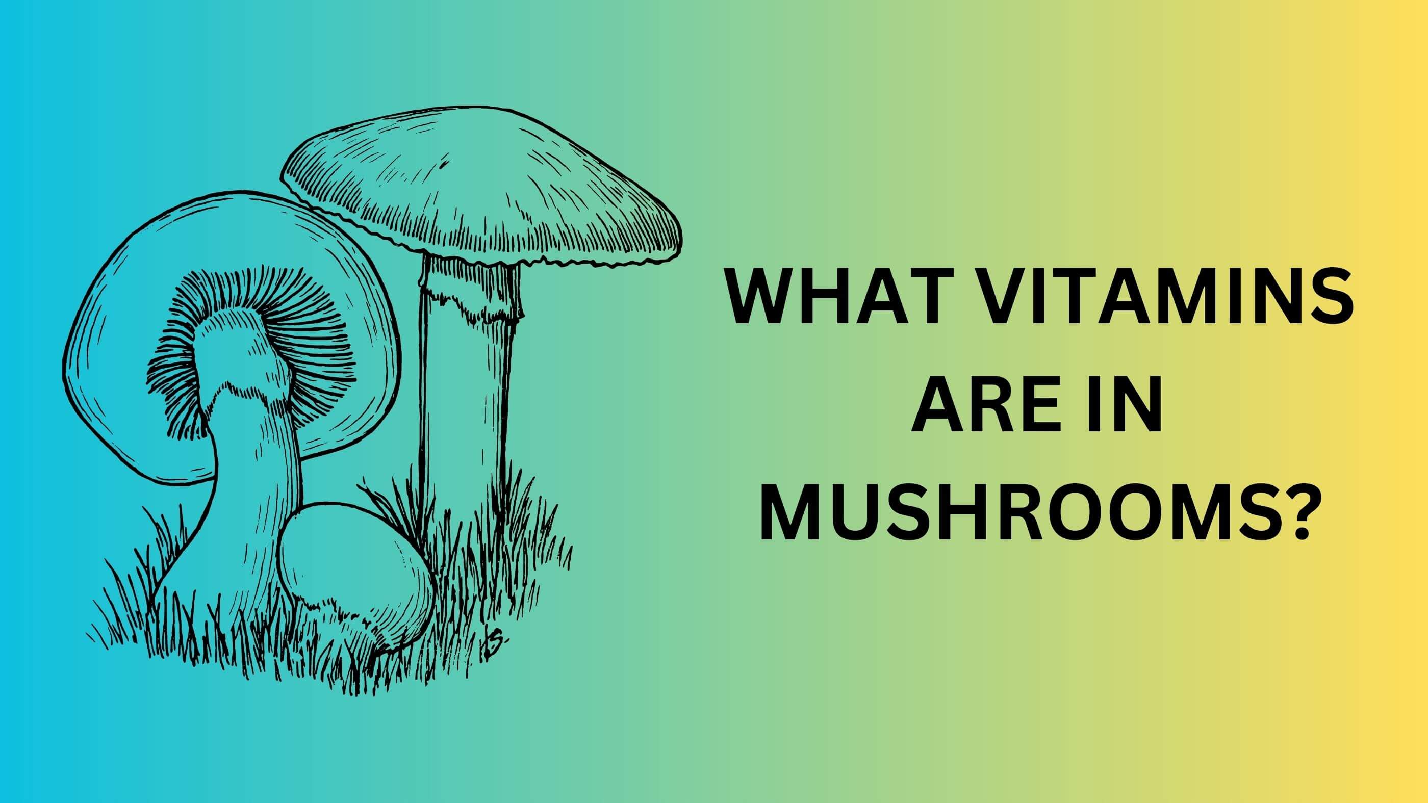 vitamins in mushrooms