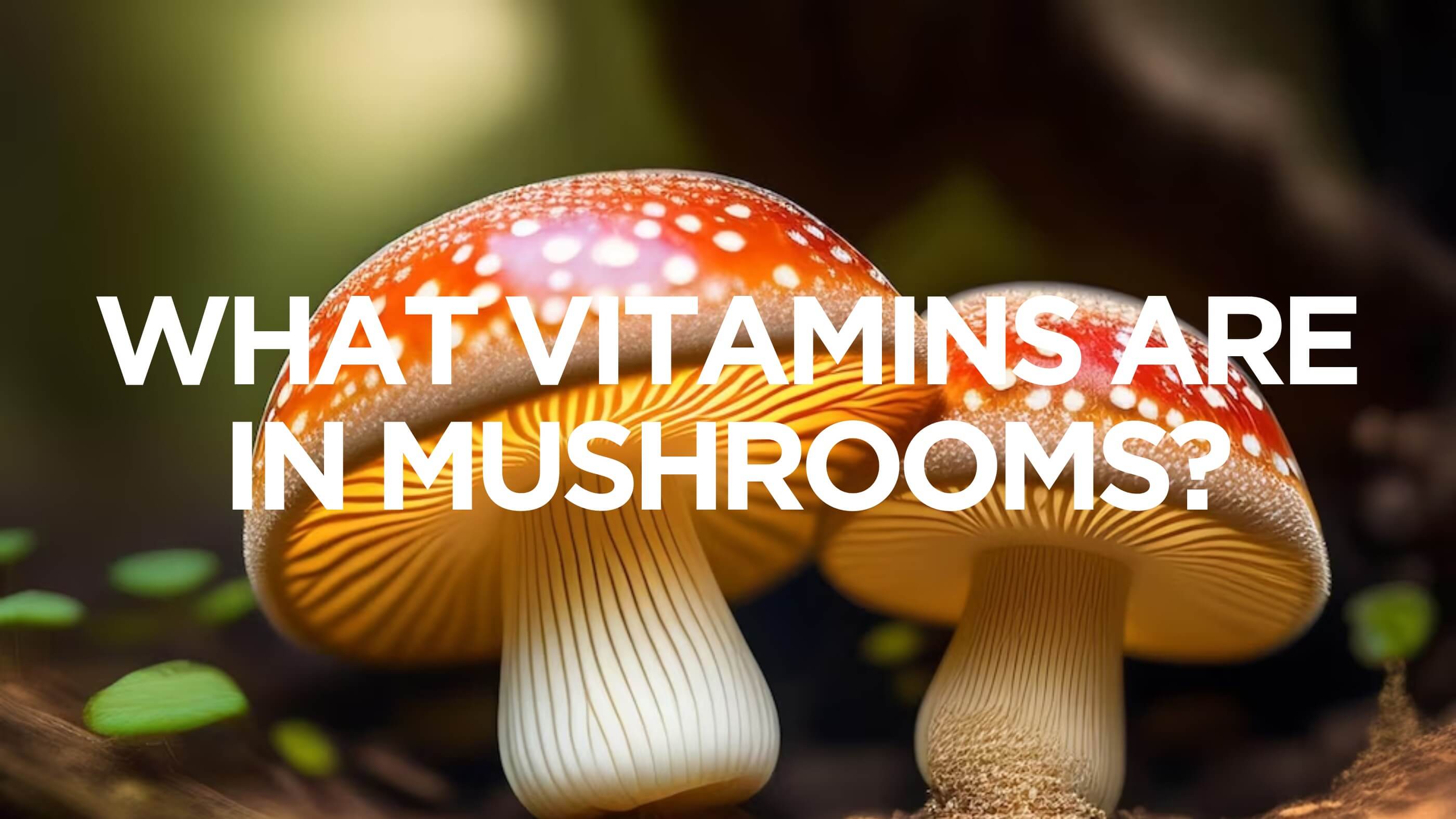 vitamins in mushrooms