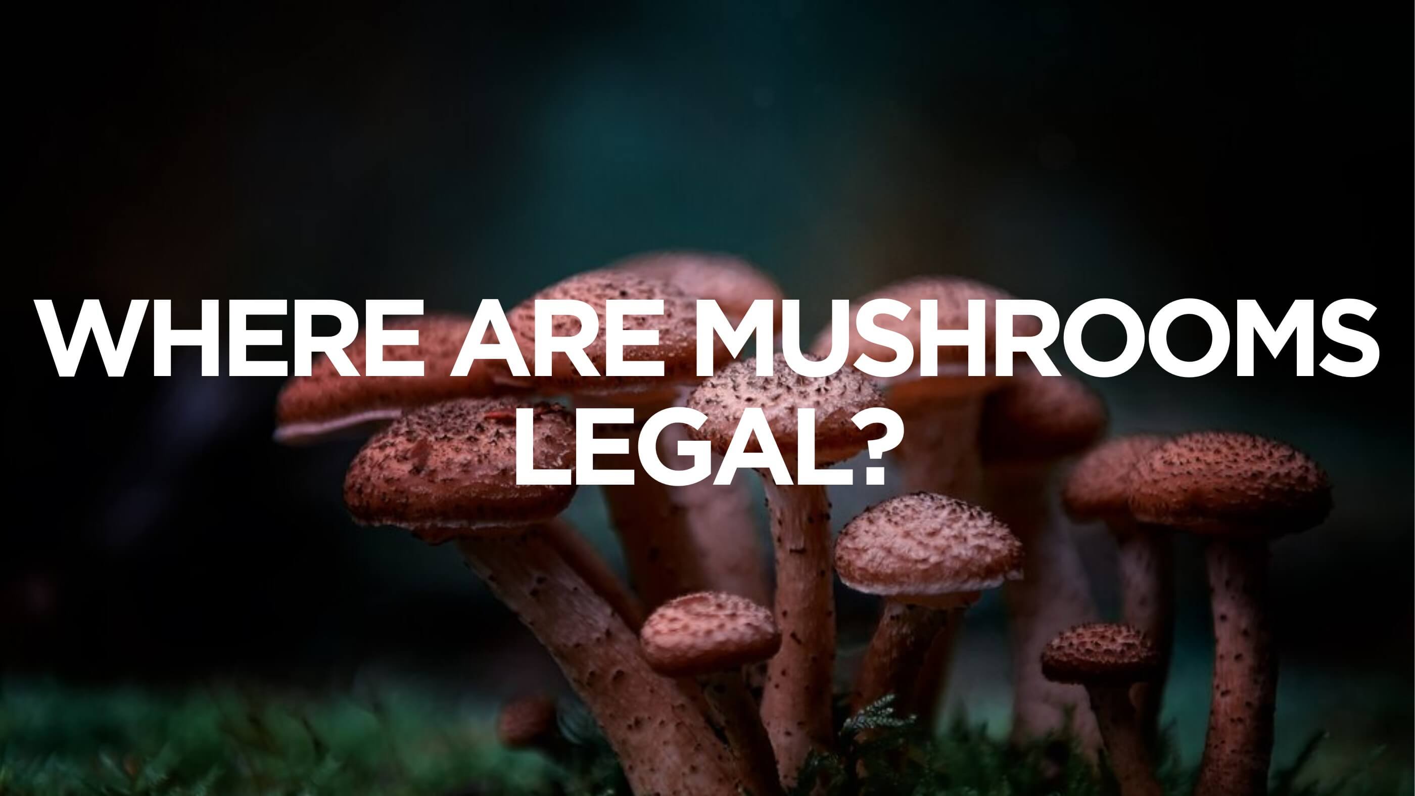 Where Are Mushrooms Legal