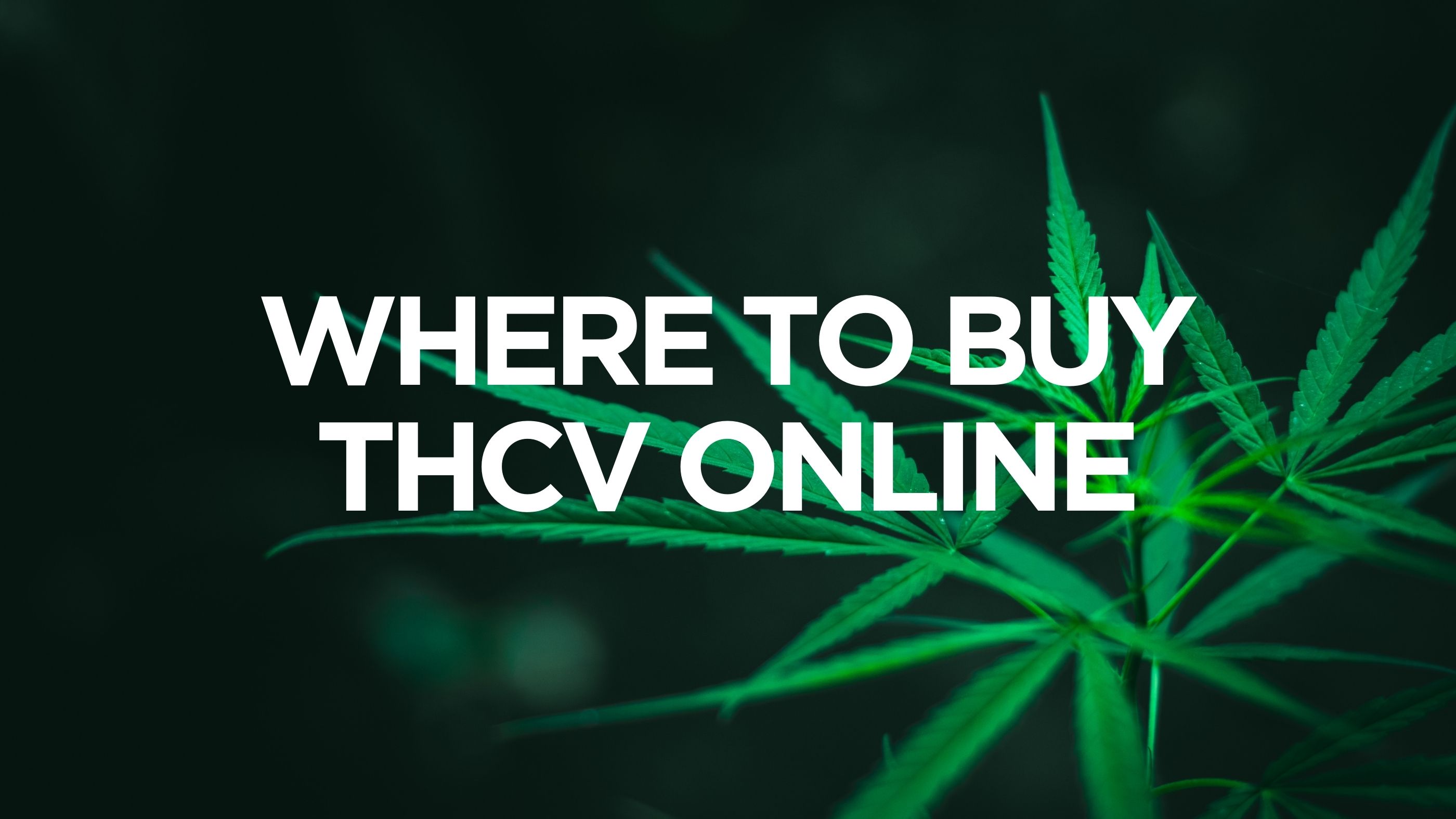 Where to Buy THCV Online