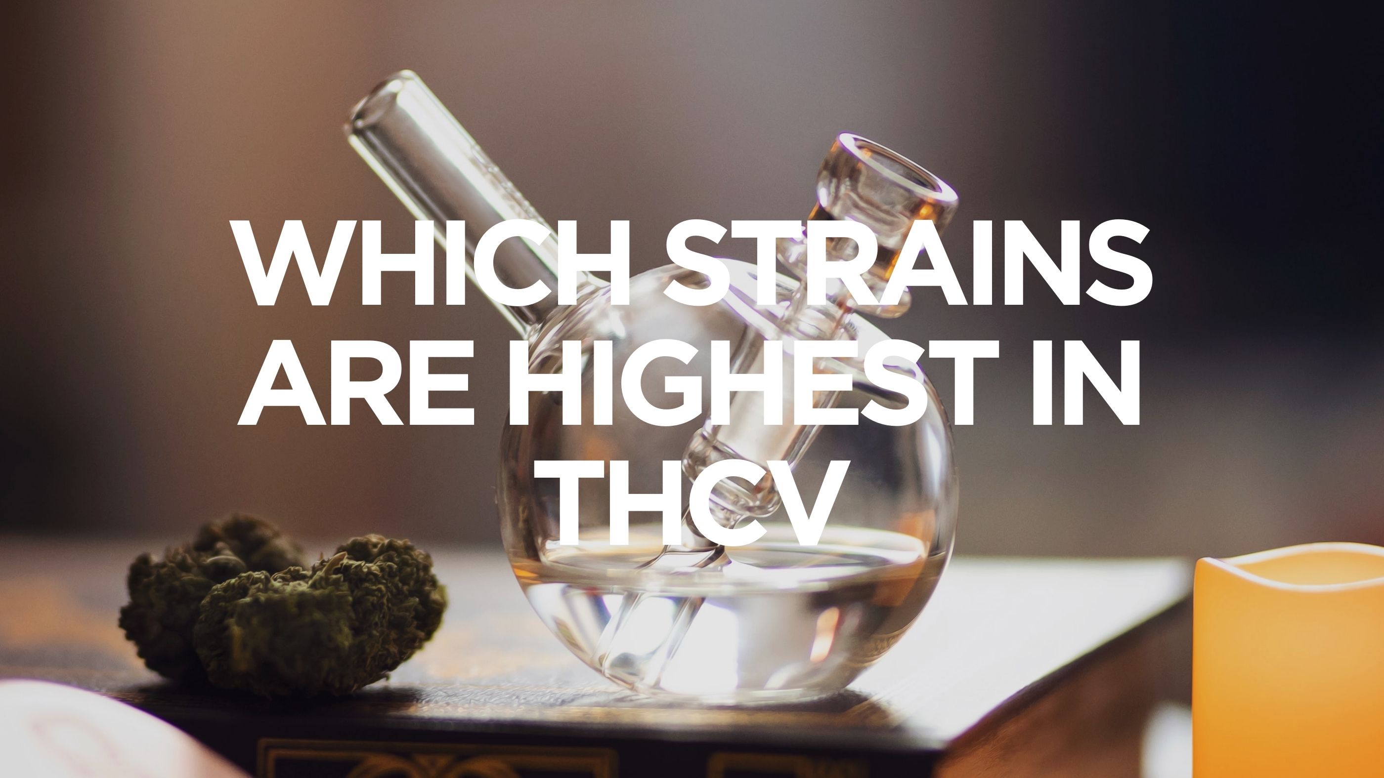 Which Strains Are Highest in THCV?