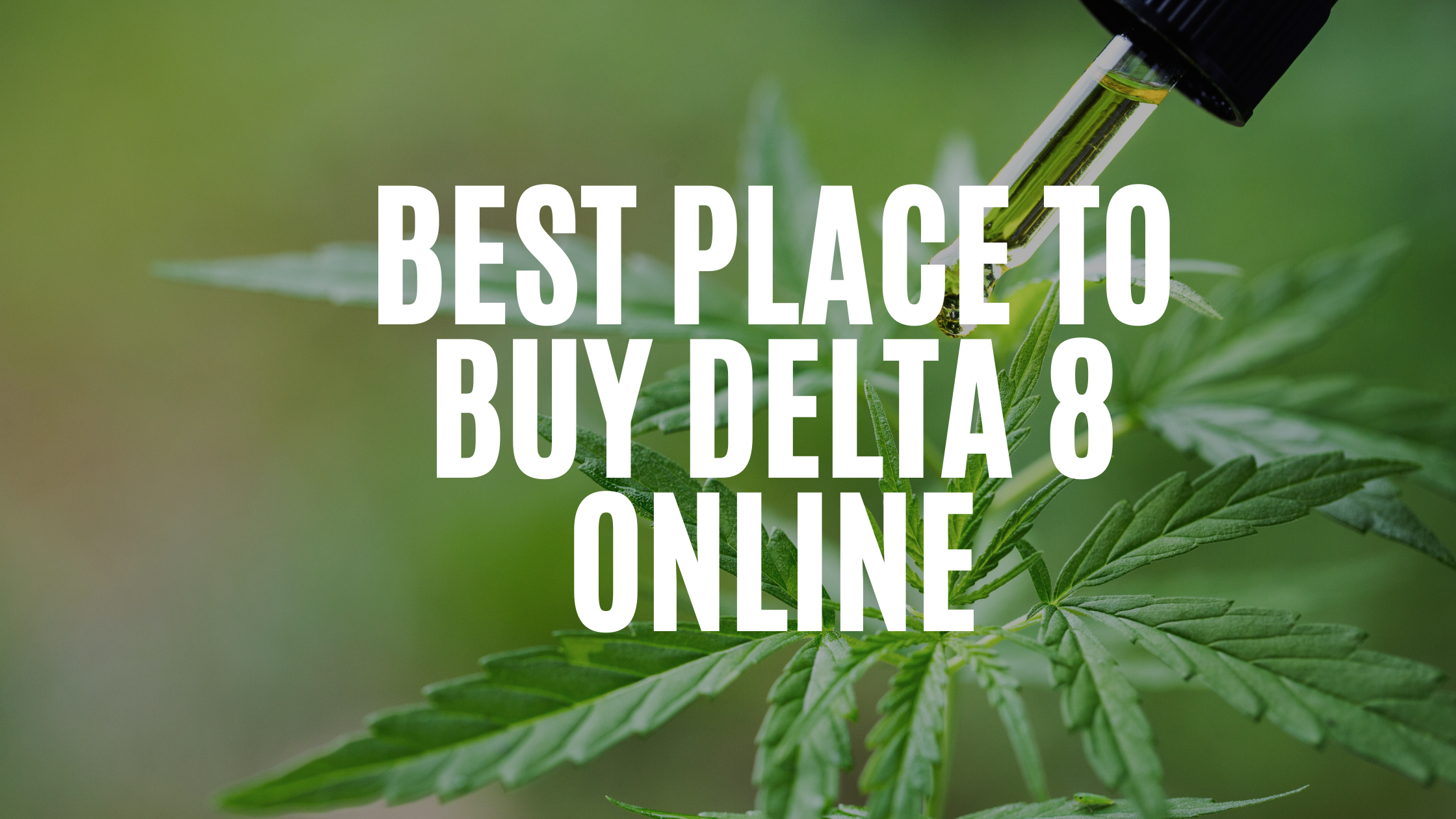 Best Place to Buy Delta 8 Online