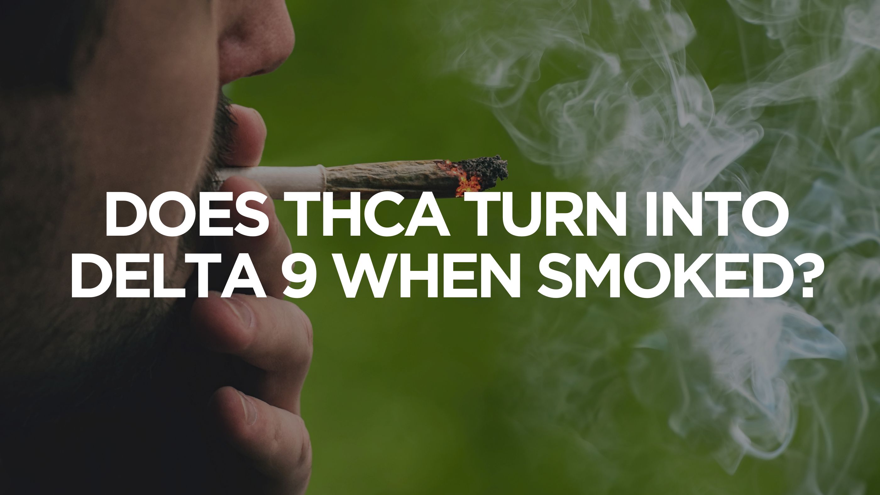 Does THCA Turn Into Delta 9 When Smoked?