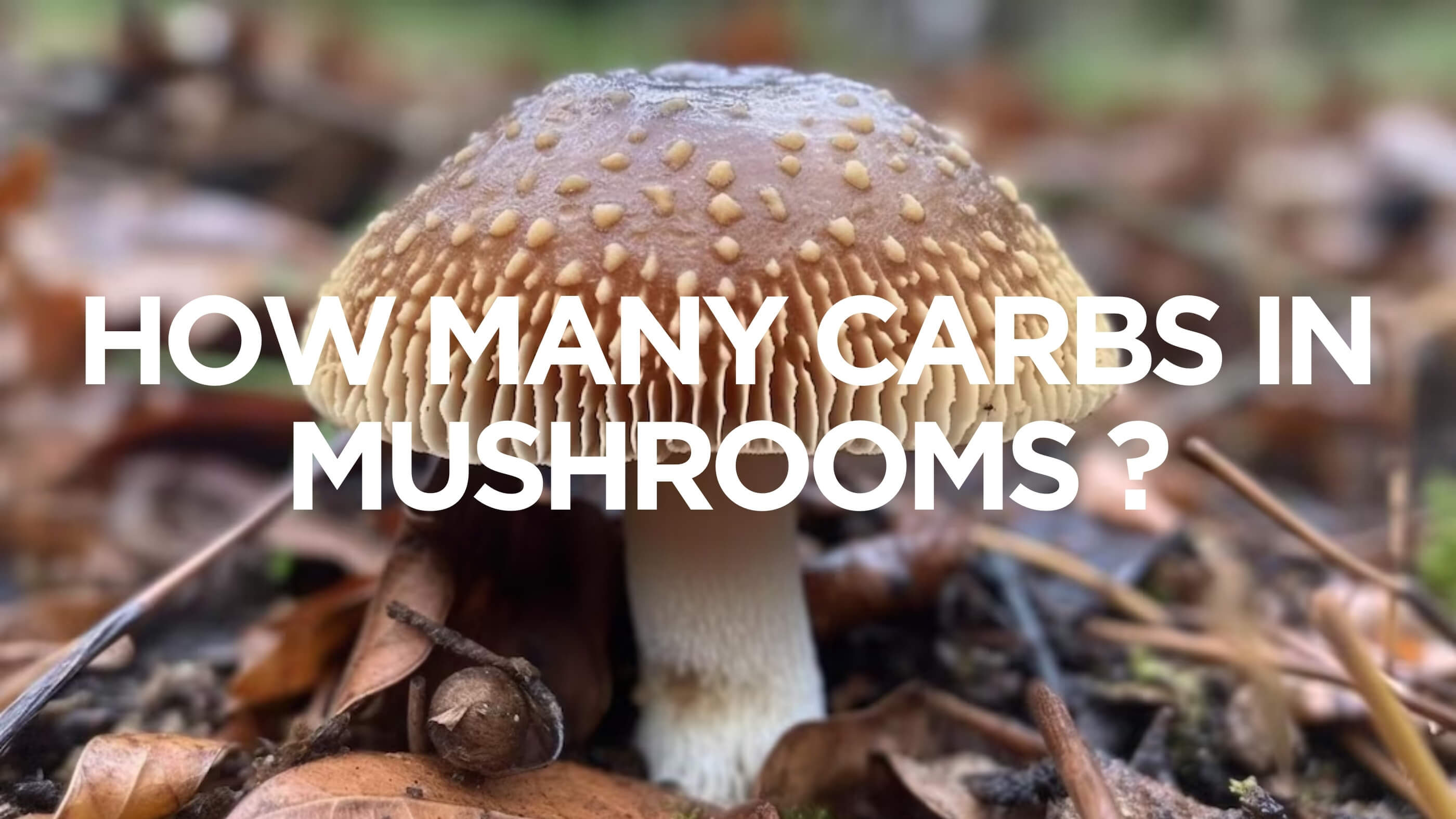 How Many Carbs Do Magic Mushrooms Contain?