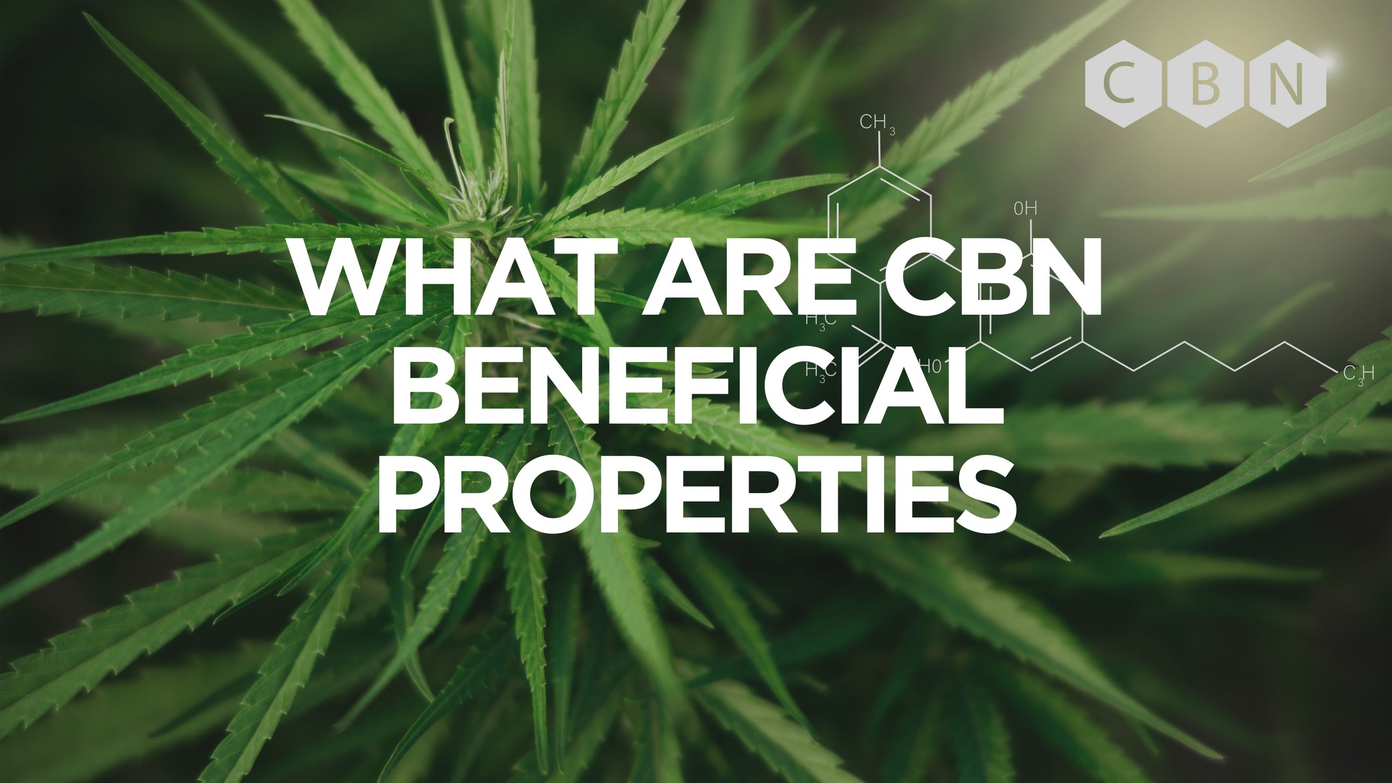 What Are CBN Beneficial Properties